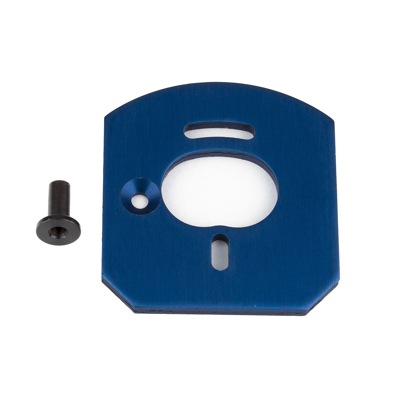 AE31879 - Team Associated Apex2 Motor Mount