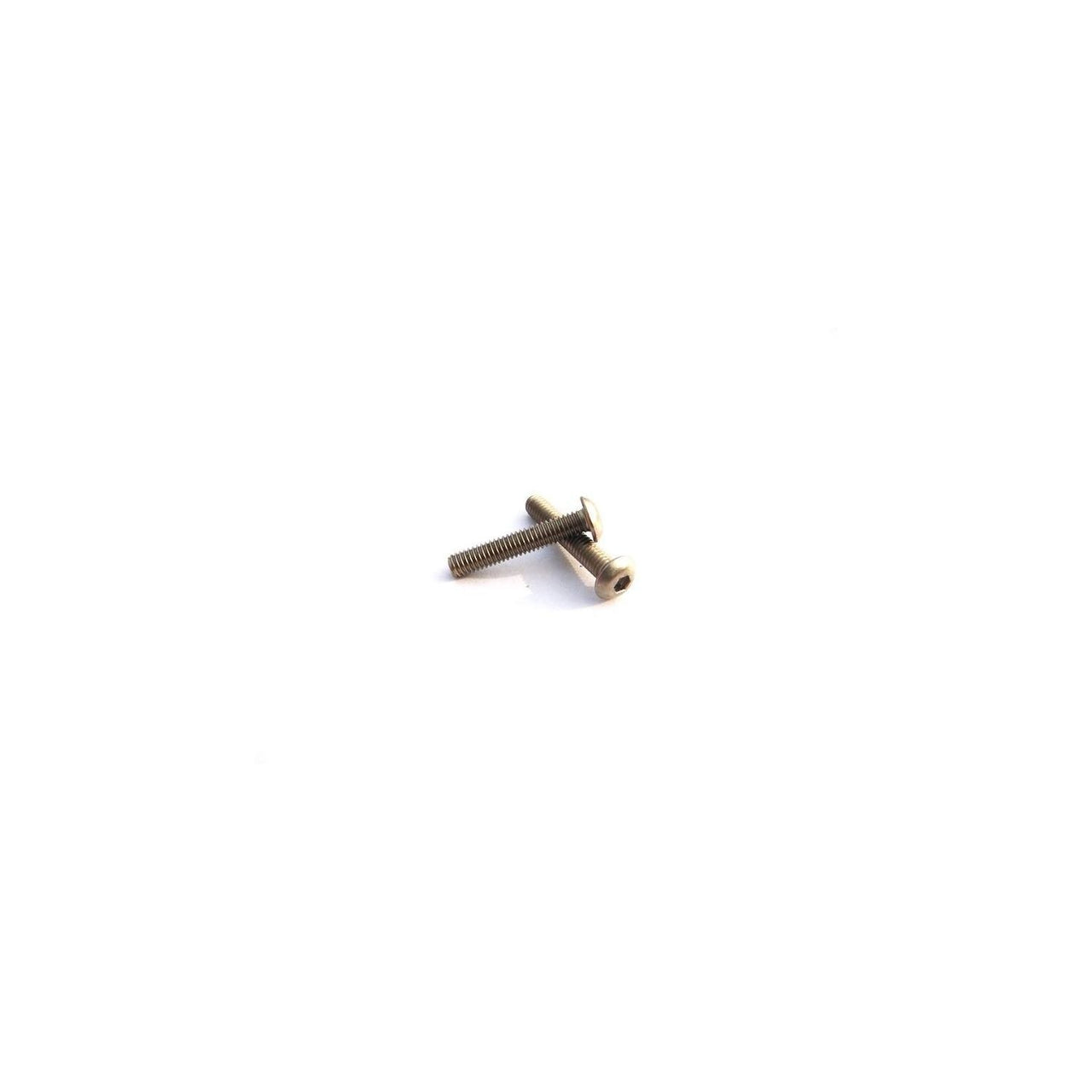 HS-48163 - Hiro Seiko Titanium Hex Socket Button Head Screw M4x22mm (2pcs)